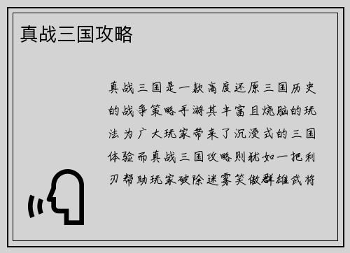 真战三国攻略