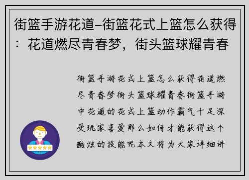 街篮手游花道-街篮花式上篮怎么获得：花道燃尽青春梦，街头篮球耀青春